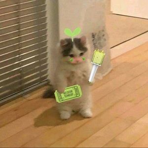 Meet your Posher, Jessics